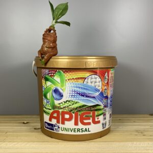Сипучий безфосфатний порошок у відрі Apiel Universal - 10 кг. 165 прань.