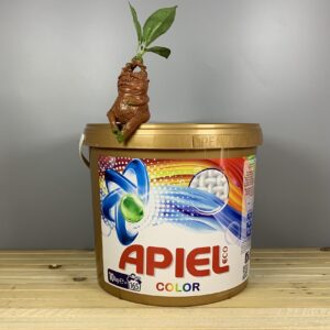 Сипучий безфосфатний порошок у відрі Apiel Color - 10 кг. 165 прань.